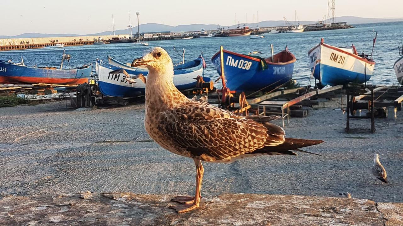 Blue Bay Sea View Daire Ahyolu Dış mekan fotoğraf